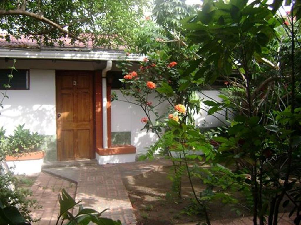 Hotel Jackie'S House Puntarenas Ngoại thất bức ảnh